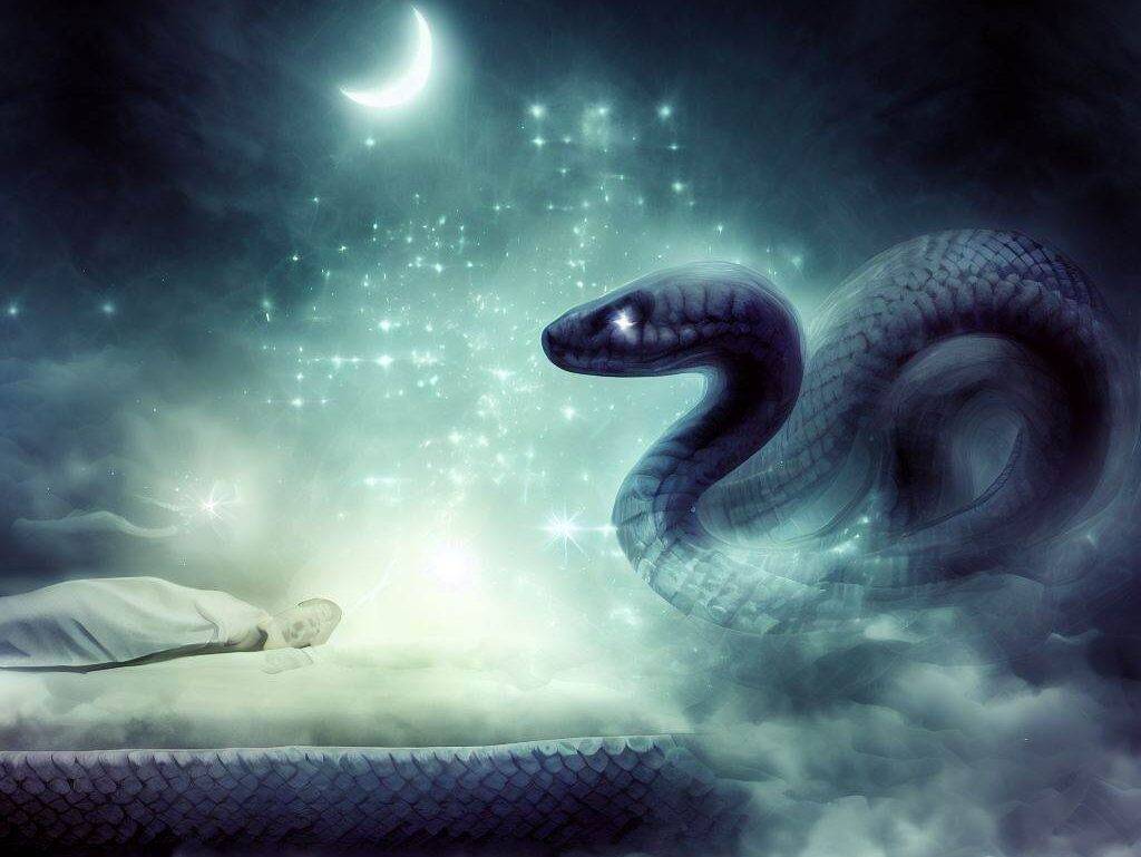 蛇の夢
