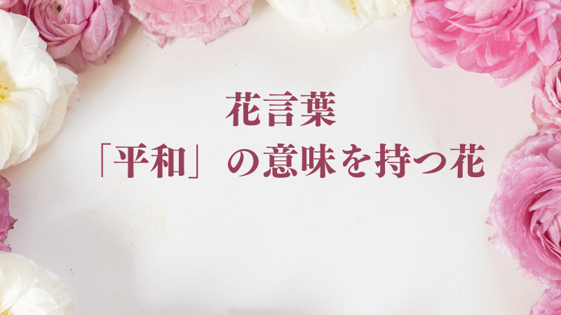 花言葉「平和」の意味を持つ花10選｜知名度上位5選のほか植栽などを厳選し紹介 - Refined Life